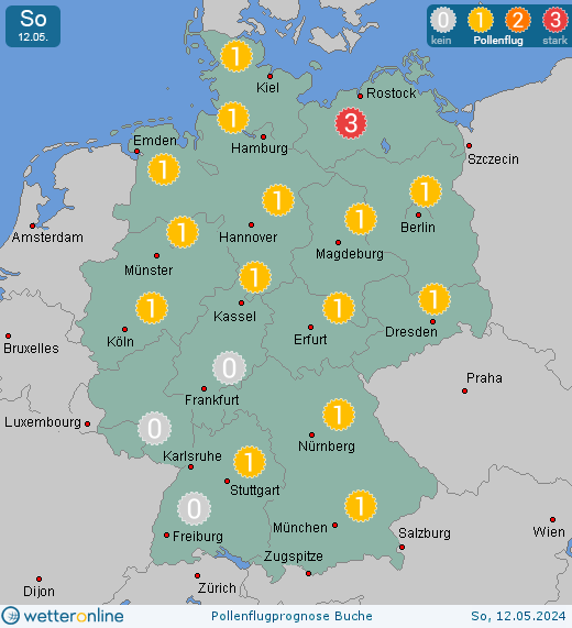 Deutschland: Pollenflugvorhersage Buche für Donnerstag, den 18.04.2024