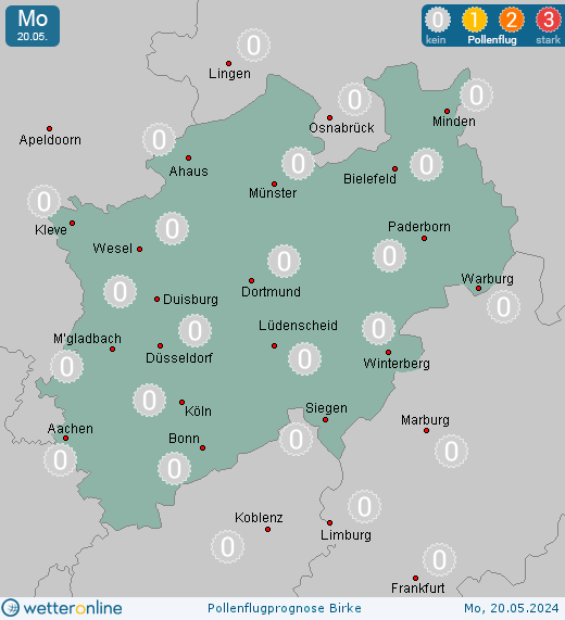 Rothaargebirge (in 800m): Pollenflugvorhersage Birke für Sonntag, den 28.04.2024
