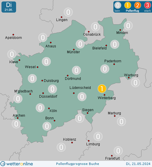Münster: Pollenflugvorhersage Buche für Montag, den 29.04.2024