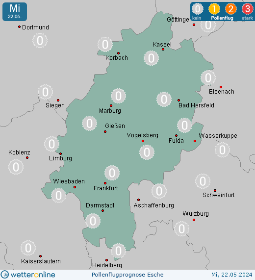 Kassel: Pollenflugvorhersage Esche für Montag, den 29.04.2024
