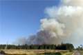 Waldbrände durch Trockenheit
