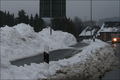 Schneereicher Januar 2010