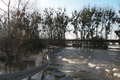 Elbhochwasser bricht Rekorde