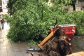 Berlin: Unwetter reißt Bäume um