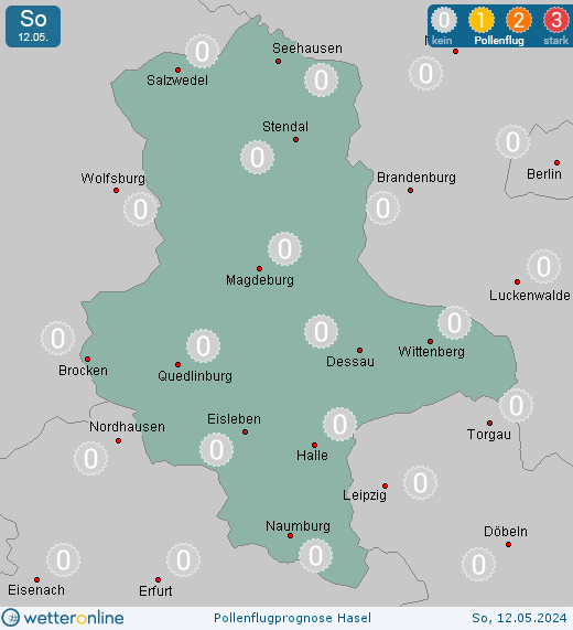 Dessau: Pollenflugvorhersage Hasel für Freitag, den 19.04.2024