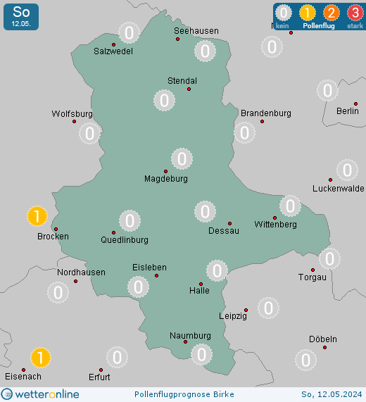 Brocken: Pollenflugvorhersage Birke für Freitag, den 19.04.2024