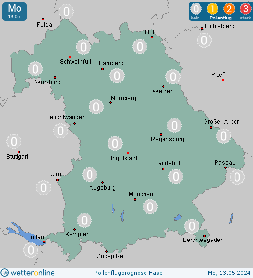 Berchtesgaden: Pollenflugvorhersage Hasel für Dienstag, den 23.04.2024
