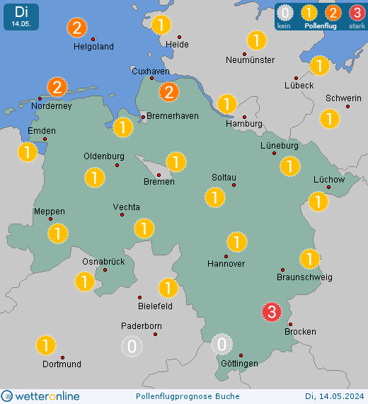 Lingen: Pollenflugvorhersage Buche für Donnerstag, den 25.04.2024