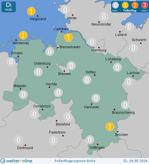 Lingen: Pollenflugvorhersage Birke für Donnerstag, den 25.04.2024