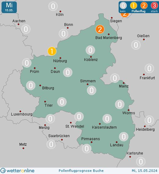 Koblenz: Pollenflugvorhersage Buche für Freitag, den 26.04.2024
