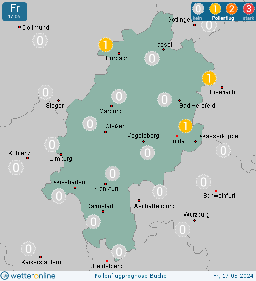 Bad Hersfeld: Pollenflugvorhersage Buche für Samstag, den 27.04.2024
