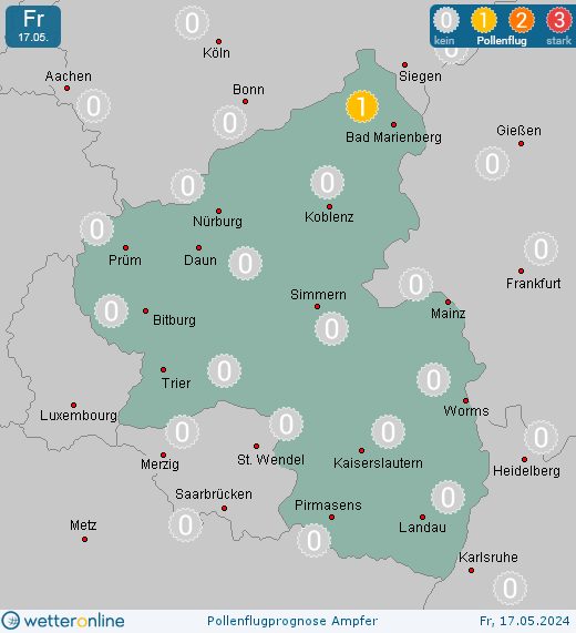 Mainz: Pollenflugvorhersage Ampfer für Samstag, den 27.04.2024