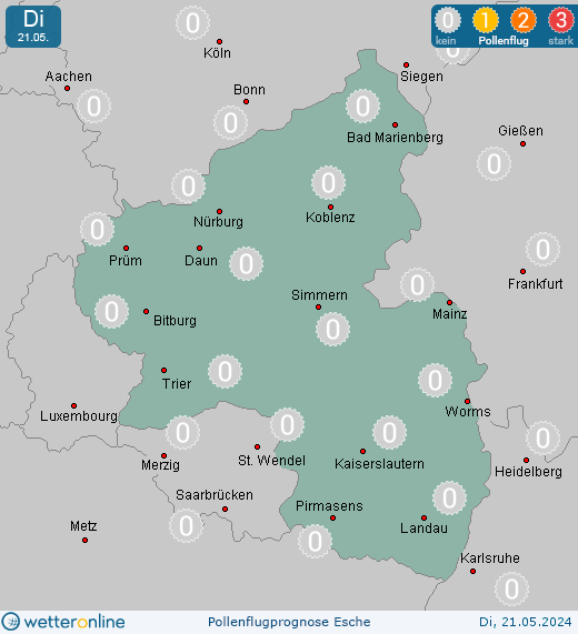 Westerwald (in 500m): Pollenflugvorhersage Esche für Sonntag, den 28.04.2024