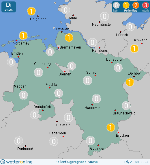 Alte Weser: Pollenflugvorhersage Buche für Montag, den 29.04.2024