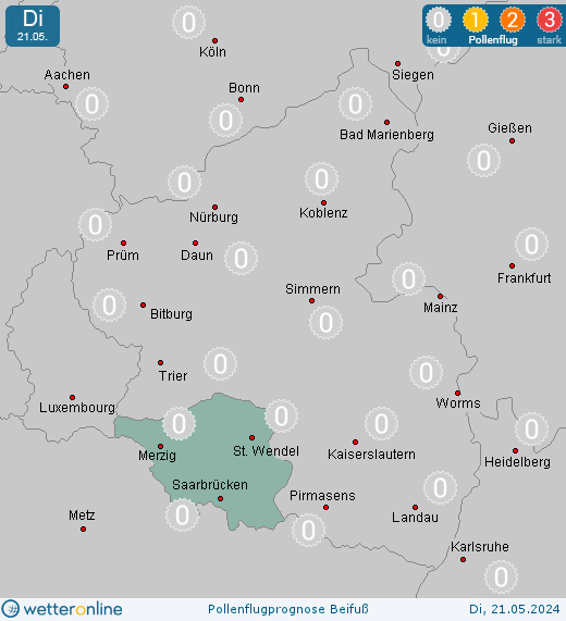 Homburg: Pollenflugvorhersage Beifuß für Montag, den 29.04.2024