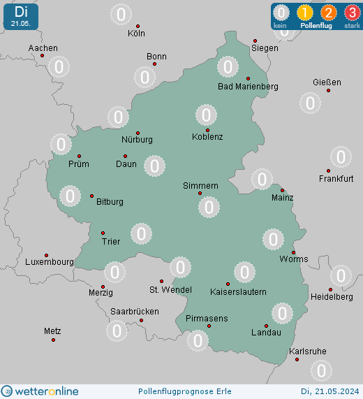 Westerwald: Pollenflugvorhersage Erle für Montag, den 29.04.2024