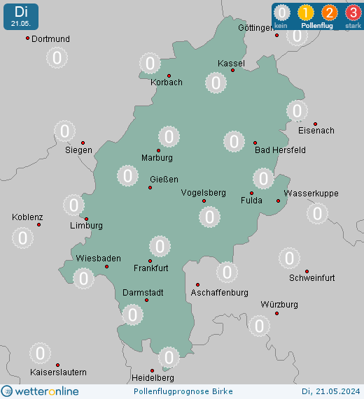 Limburg: Pollenflugvorhersage Birke für Montag, den 29.04.2024