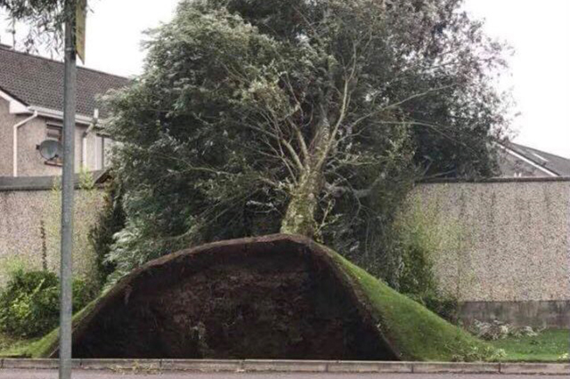 Ex-Hurrikan wütet in Irland