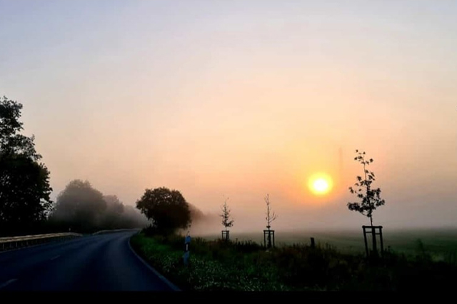 Nebelschleier im Morgenlicht