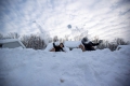 USA: Schneemassen in Bildern