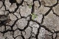 Große Dürre in Nordamerika