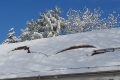 25 Zentimeter Schnee im Allgäu