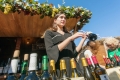 Mosel: Wein und romantische Orte