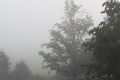 Nebelstimmung am Morgen