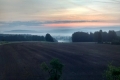 Nebelstimmung am Morgen