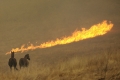 In Kalifornien wüten Waldbrände
