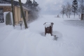 Schneeverwehungen auf Rügen