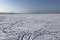 Eislandschaft an der Ostsee