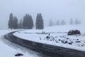 Wintergruß im Schwarzwald