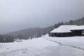 Wintergruß im Schwarzwald