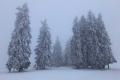 Winterwunderland Schwarzwald