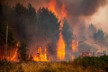 Große Waldbrände in Südeuropa